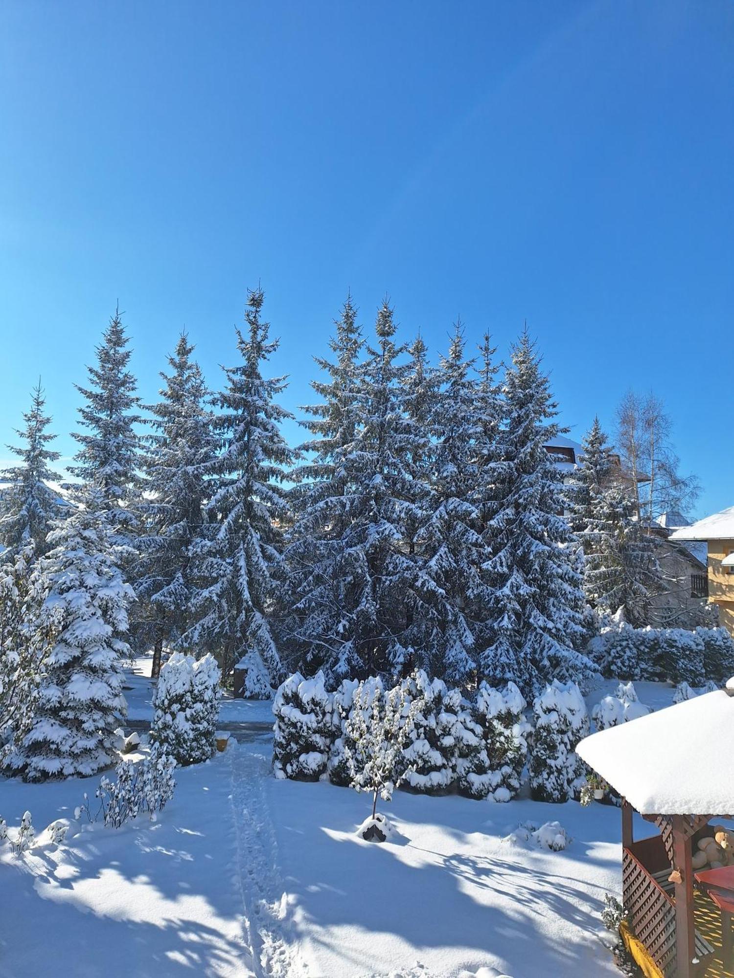 Apartmani Nika Zlatibor Bagian luar foto